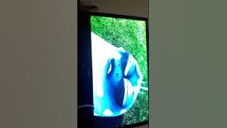 Download lagu Larva island movie rcti