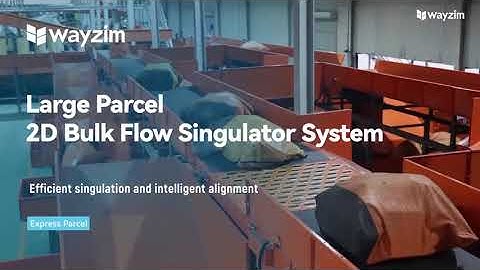 SMARTLOGITECX | 2D Bulk Flow Singulator System