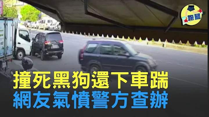 開車沒注意碾壓黑狗兩次 下車還踹狗狗一腳 網友氣憤肉搜...│＃跑腿新聞 - 天天要聞