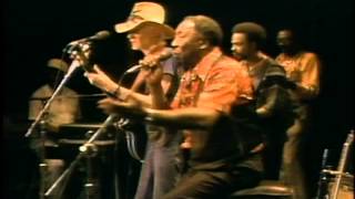 MUDDY WATERS 1981 Got My Mojo Working