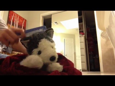 How To Give A knuffeldier A Bath
