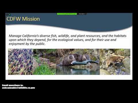 Video: Perennial Plant Information - Dab tsi yog txhais ntawm Perennial Cog