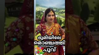 June 17, 2026 മൊഞ്ചത്തിപ്പു#shortsviral #song #Kpm.newtubecha nel