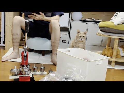お母さんが見かけたひのきの秀吉を見かけたら殴りたくなる一日