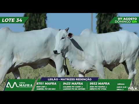 LOTE 34 MFRA 9932,9433,8701