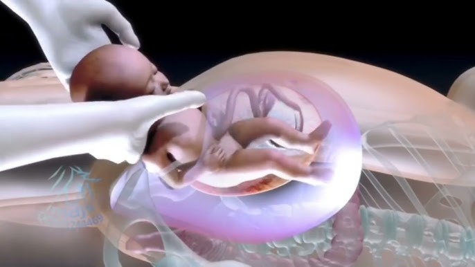 Ormonda rus porno videolarini tomosha qiling Natasha Karoleva yalangoch jinsiy aloqa