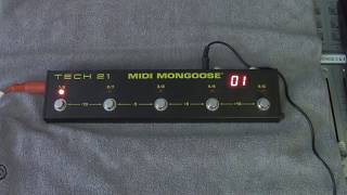 Tech 21 MIDI Mongoose