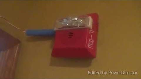 System Test 6 Wheelocks