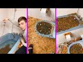 Zapušio cijevi cijelom komšiluku zbog video snimka