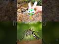 Bug Insect Names | Kids Learn at the Small Waterfall: Rhino Beetle Mosquito Ant Butterfly Centipede