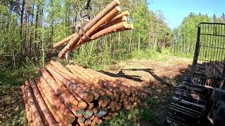 John Deere 1010G Forwarder - Unloading pine logs