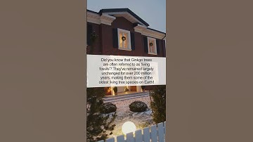 The Secret Life of Ginkgo Trees: Nature