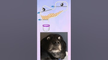 Home Pin How To Loot Gameplay Android Game 146 Level