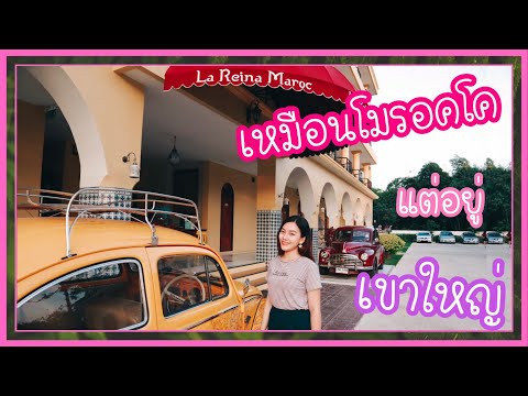 ที่เที่ยวเขาใหญ่ EP.4 ที่พักเขาใหญ่ La reina maroc ลาเรน่า มารอค(ราคาถูก บรรยากาศดี) | Meow Timeline