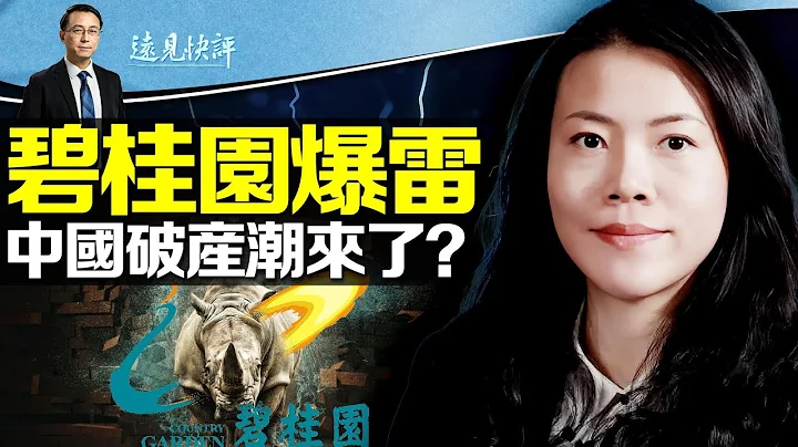 碧桂園爆雷，灰犀牛狂奔襲來！數十萬中小企業或破產，兩大後果浮現 | 遠見快評唐靖遠 | 2023.08.10 - 天天要聞