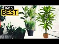 ✅ TOP 5 Best Artificial Plants [ 2021 Buyer's Guide ]
