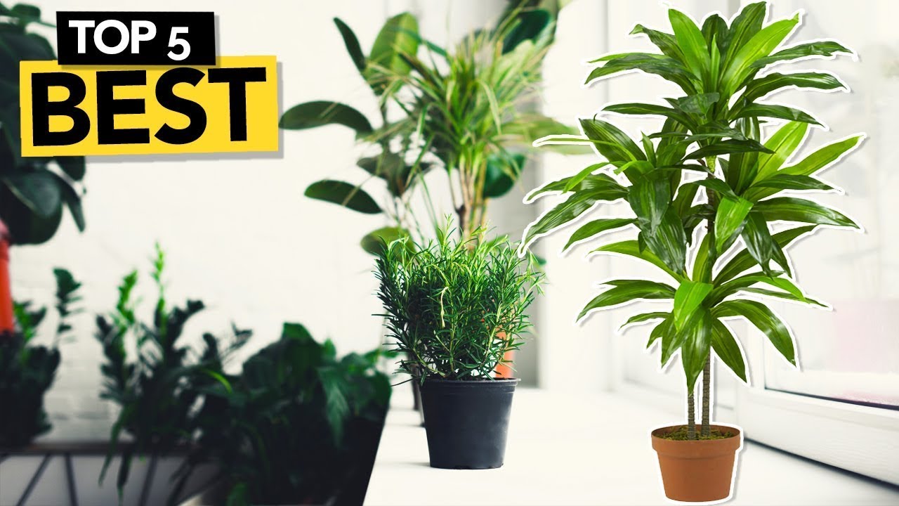 The 8 Best Artificial Plants