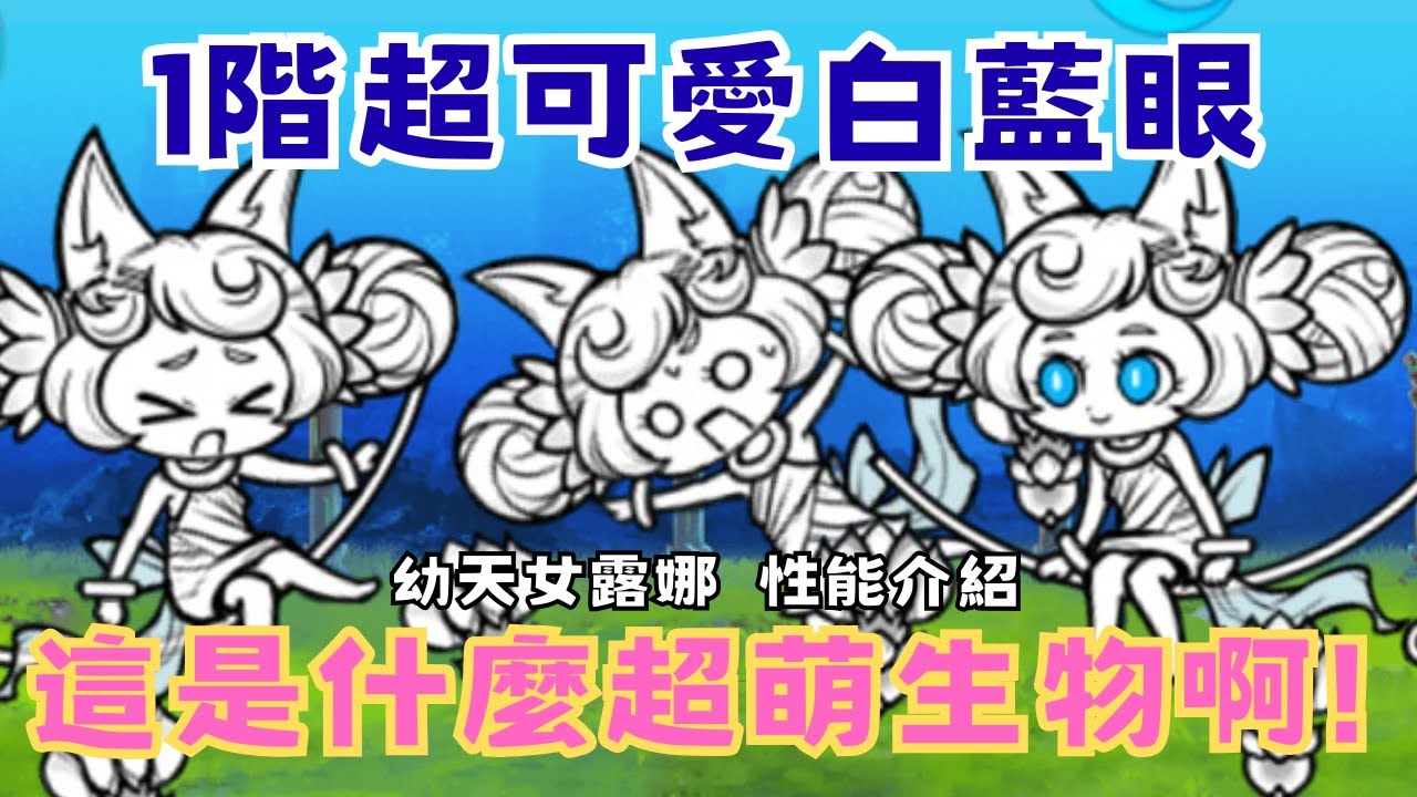 【翔泓TIV】超可愛1階白藍眼 ! 😍量產爆波暫停的威力 ! 進化or介紹系列#55| 貓咪大戰爭