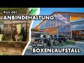 Aus der Anbindehaltung in den neuen Boxenlaufstall | Die Kühe der Familie Freudenstein ziehen um