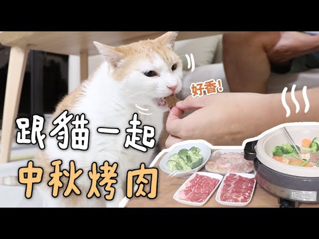 【黃阿瑪的後宮生活】跟貓一起中秋烤肉！