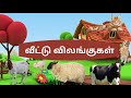 Domestic animals name in Tamil | வீட்டு விலங்குகளின் பெயர் தமிழ் | Veetu vilangugal name in Tamil