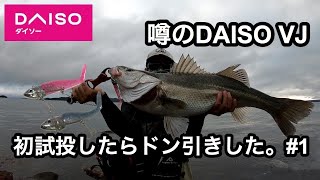 噂のDAISO VJを初試投したらドン引きする良型が連発した#1