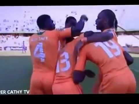 هدف يايا توريه فى مرمى توغو   
