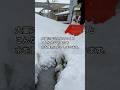 水がよく流れている側溝に雪をどんどん入れていくと、雪山になり水を堰き止めてしまうことがあります #長野県 #飯山市 #雪かき #ドボン