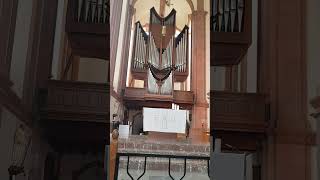 Farrington: Voices of the world - Klais-organ Himmerod Abbey, Germany
