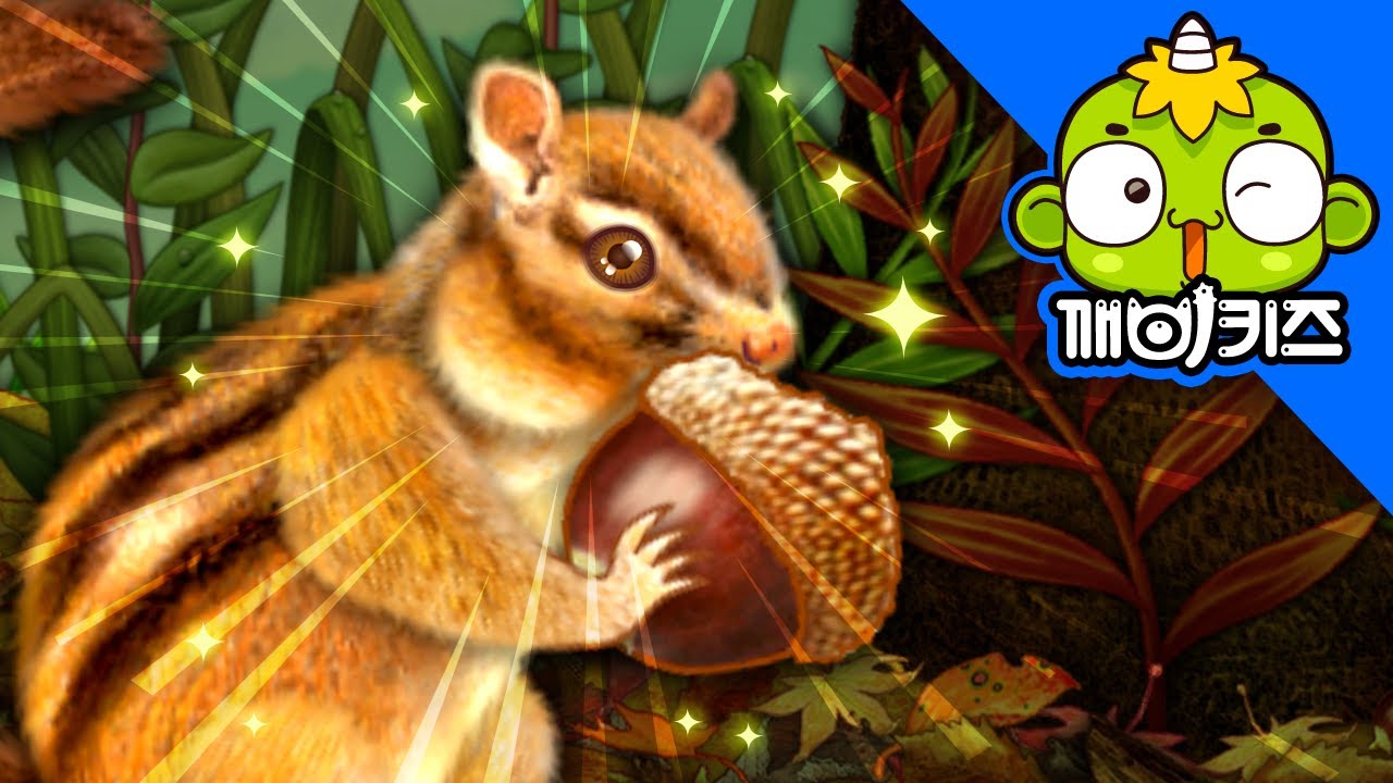산골짝의 다람쥐 | 자연관찰 | 과학도감 | 깨비키즈 KEBIKIDS