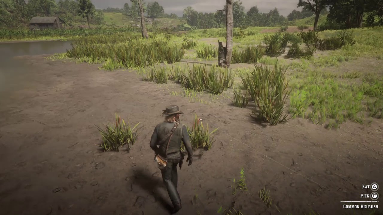 Red Dead Redemption 2 ???