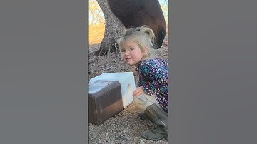 Farm Kid Licks Salt Block || ViralHog