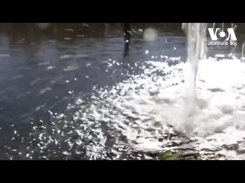 სასაზღვრო კედლის ეკოლოგიური პრობლემები