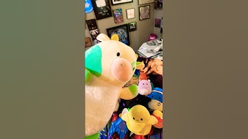 SELLING MY SQUISHMALLOWS?! 😱 love u guys. x #squishmallow #squishmallowhunting #mercari