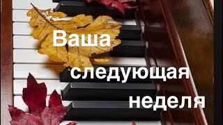 видео: Ваша следующая неделя  23-02 ноября 🍁🔮✨☀️🔥💝🌈😚  картинка: Ваша следующая неделя  23-02 ноября 🍁🔮✨☀️🔥💝🌈😚