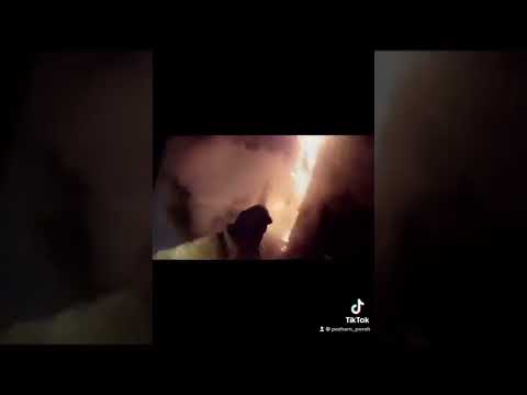немного из жизни