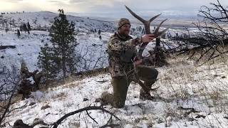 2020 Big Brown Elk Shed