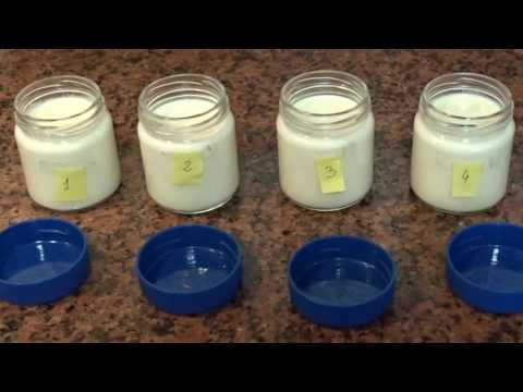 Biologia: experimentación fermentación mediante yogurt