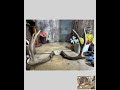 Whitetail Deer Antlers ..horns. pointer , taxidermy mount