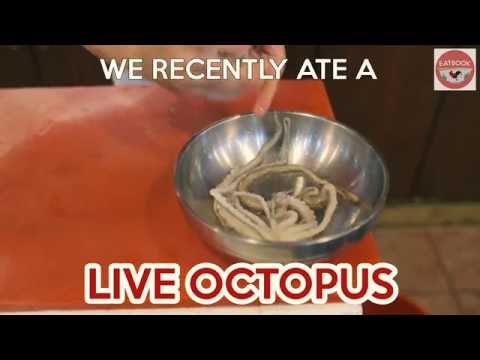 Bukang Tuna Restaurant - Korean Live Octopus (Sannakji) Served On The Spot