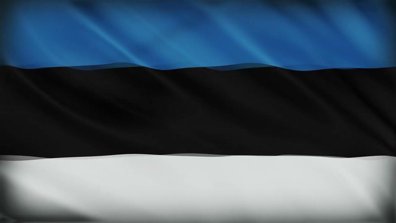 Estonia Flag Waving | Estonia Flag Background Video