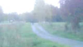 MOV01302.3GP