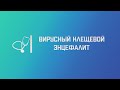 Вирусный клещевой энцефалит. Лекция для студента и практикующего врача.