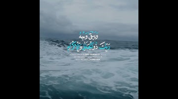 كل من عليها فان ويبقى وجه ربك ذو الجلال والإكرام(سورة الرحمن)