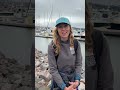 Scientists Use AI Detectors to Protect Gray Whales in San Francisco