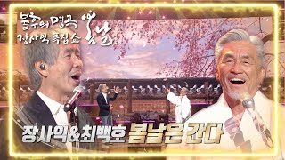 Video thumbnail of "장사익&최백호 - 봄날은 간다 [불후의 명곡2 전설을 노래하다/Immortal Songs 2] | KBS 220226 방송"