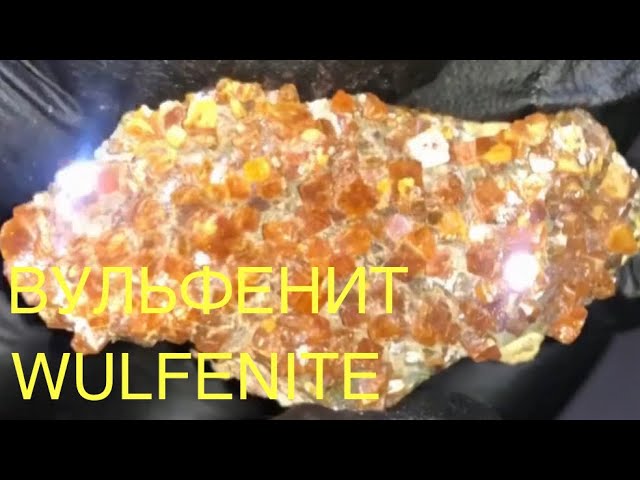 Wulfenite. Вульфенит.Казахстан.