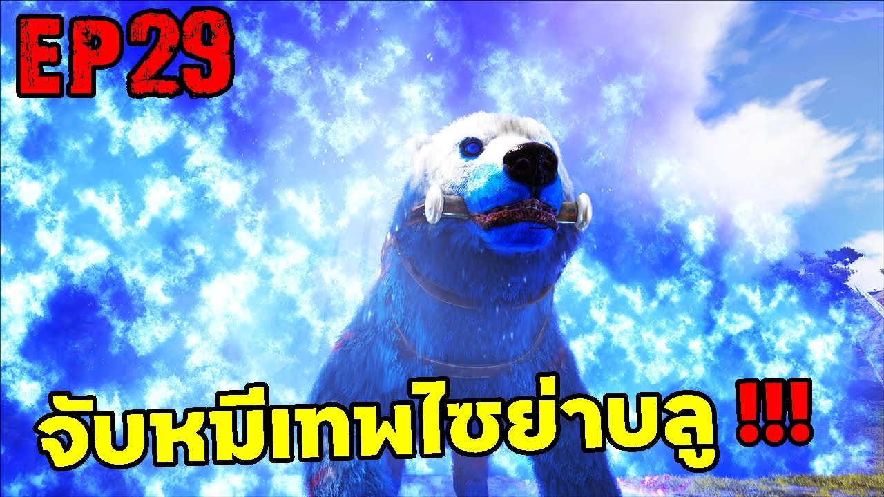จับหมีเทพไซย่าบลู ARK: Survival Evolved 2025 EP#29