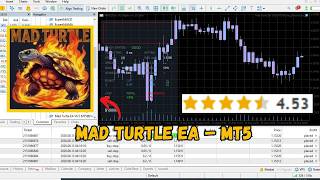 MAD TURTLE MT5 EA 🐢 | Automated XAUUSD Gold Trading Setup