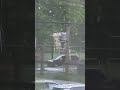 Now later 2 sw 900(904&907).Make a run backNewWestminster B.C Canada..05/22/26